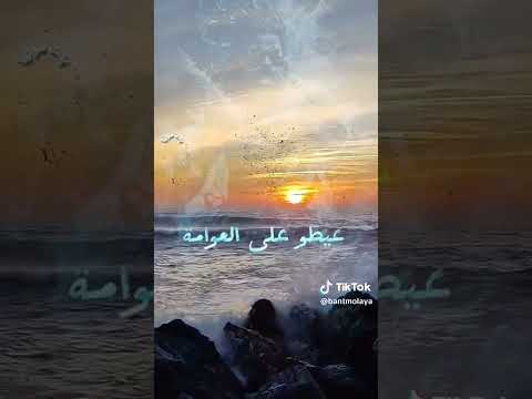 بابا موسى
