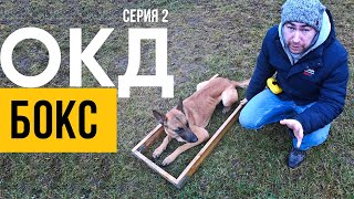 видео: ОКД. Серия 2. Приучение к боксу. Позиционирование, ч.1 картинка: ОКД. Серия 2. Приучение к боксу. Позиционирование, ч.1