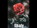 يا وردتي يا وردتي