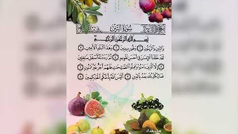 سورة التين بصوت جزاع الصويلح