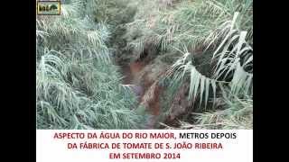 Vale de Santarém-Plano de Acção 2015 do Movimento Ecologista