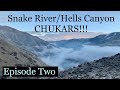 Snake River/Hells Canyon Chukar!!! pt.2