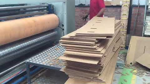 CANGHAI chain feeder printing diecutting machine