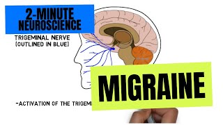 2-Minute Neuroscience: Migraine