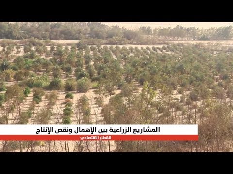 أكبر المشاريع الزراعية الإنتاجية في ليبيا يعاني الإهمال وغياب الدعم