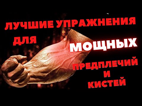 Видео: Упражнения на ПРЕДПЛЕЧЬЯ | Укрепляем кисти рук