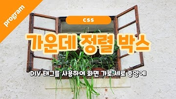 [CSS] 화면 가운데 정렬되는 박스