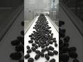 How Dried Mulberries Are Made in a Factory 🫐 | Fresh to Dried Fruit