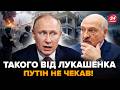 ⚡️Путін ЕКСТРЕНО ВИКЛИКАВ Лукашенка НА ВАЛДАЙ. ТАЄМНА ЗУСТРІЧ після РІШЕННЯ Білорусі. Це ПРОВАЛ