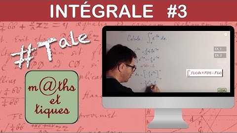 Calculer une intégrale (3) - Terminale