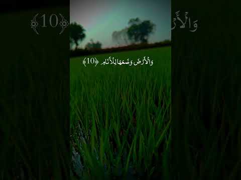 Remember allah 🥰💫