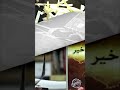 كيفية التغلب على ملل القراءة في أقل من دقيقة القصص القصيرة كيفية التغلب على ملل القراءة في أقل من دقيقة القصص القصيرة