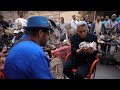 باب الخلق من الحيوانات العجيبة للعملات النادرة والانتيكات سوق ديانا غير اي مكان في العالم