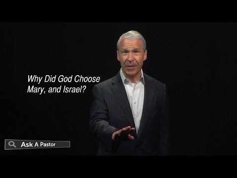 Why Did God