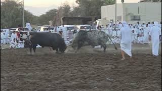 الوحشي و البنسلين