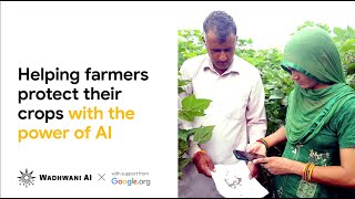 [Audio Described] Using Ai To Help Farmers Increase Their Yields | Wadhwani Ai X Google.org