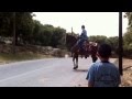 دبكة حصان