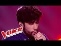 Berywam (MB14) "Medley" | The Voice France 2017 | Live