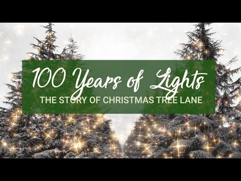 Introduction | 100 Years of Lights: The Story of Christmas Tree Lane