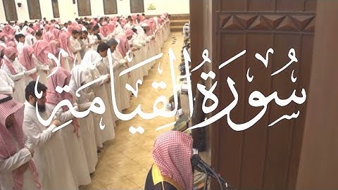 ﴿وَقيلَ مَن راقٍ﴾ - سورة القيامة كاملة - القارئ محمد اللحيدان تلاوة لا توصف