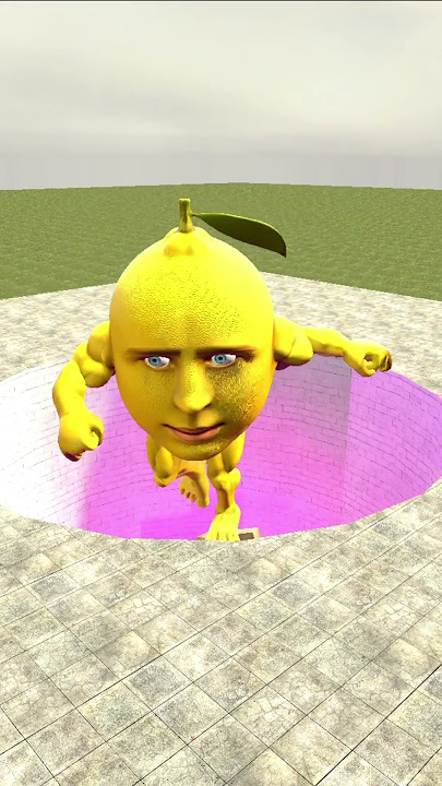 MONMONMONLEMON IN PIT