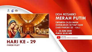 HARI 29  -  DOA ROSARIO MERAH PUTIH