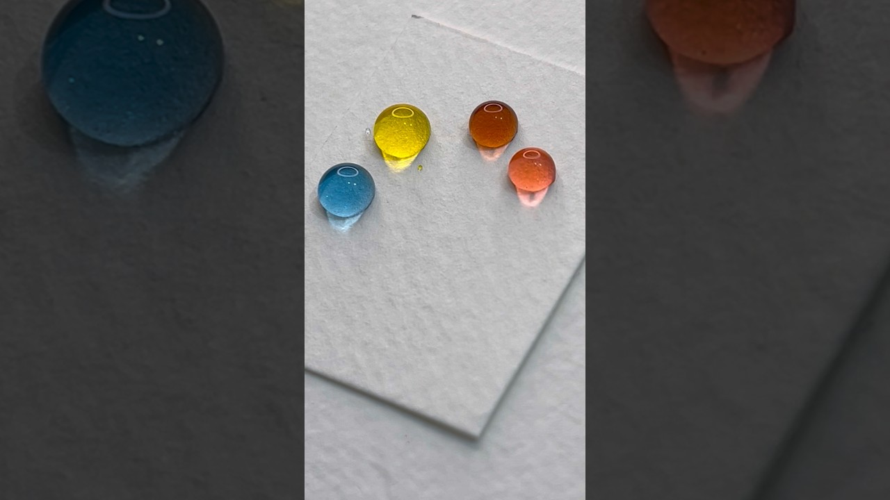 Indian🇮🇳Flower🌼