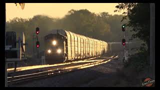 Dog plays hard and two early morning trains. A mixed freight and a long shiny autorack!