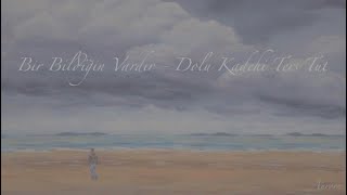 Bir Bildiğin Vardır — Dolu Kadehi Ters Tut (Lyrics/Sözler)