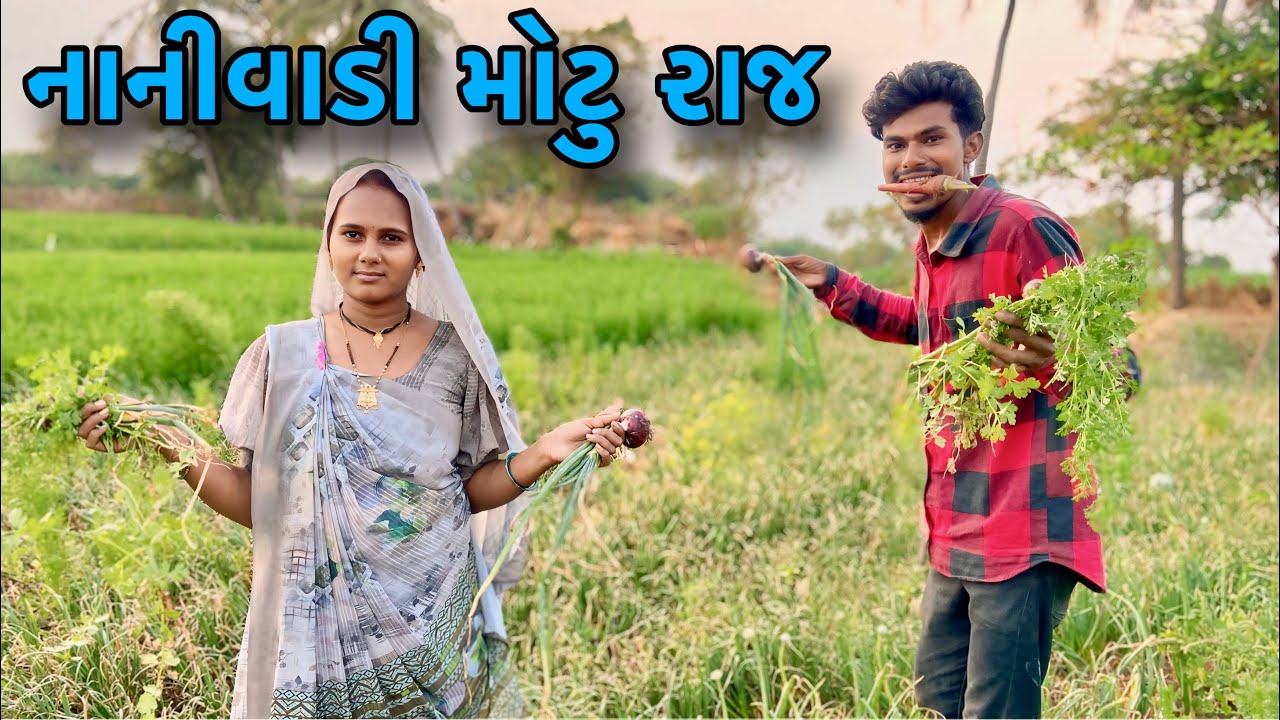 નાનીવાડી મોટુ રાજ || nanivadi motu raj