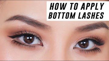 How to Apply Lower Lashes for Beginners | Tina Yong