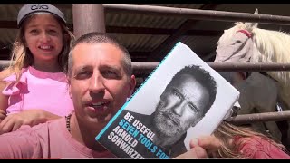 Arnold Schwarzenegger’s Be Useful Book  6 takeaways in 1 minute