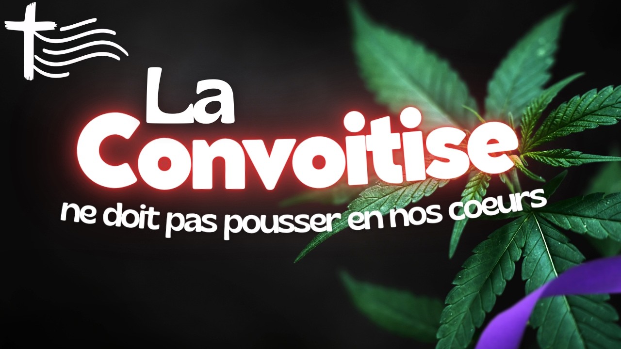 Parole et Évangile du jour | Vendredi 6 mars • Ne cultivez pas la plante du mal