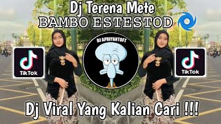 Miniatura de vídeo de "DJ TERENA METE 𝙱𝙰𝙼𝙱𝙾 𝙴𝚂𝚃𝙴𝚂𝚃𝙾𝙳 🌀 VIRAL TIK TOK TERBARU 2023 YANG KALIAN CARI !"