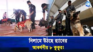 RAB's dog auction, starting price with a deposit of 1 thousand taka. Dog Auction | Kaler Kantho