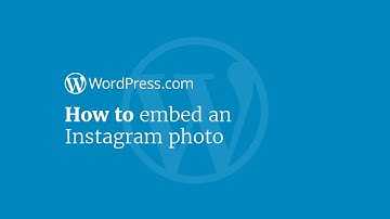 WordPress Tutorial: How to Embed an Instagram Photo in Your Website