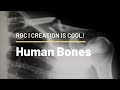 How Strong Are Your Bones? | Human Bones | Creation is Cool