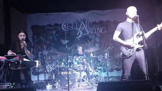 Cellar Darling   Pain (Live at Foro Independencia Guadalajara 2019)