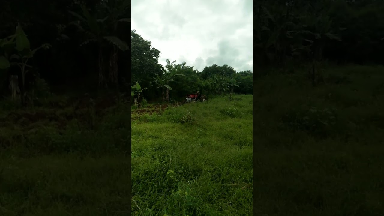 Messy 135 Tractor disc plug work