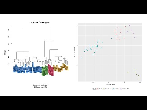 Results from the RNA-seq Pipeline