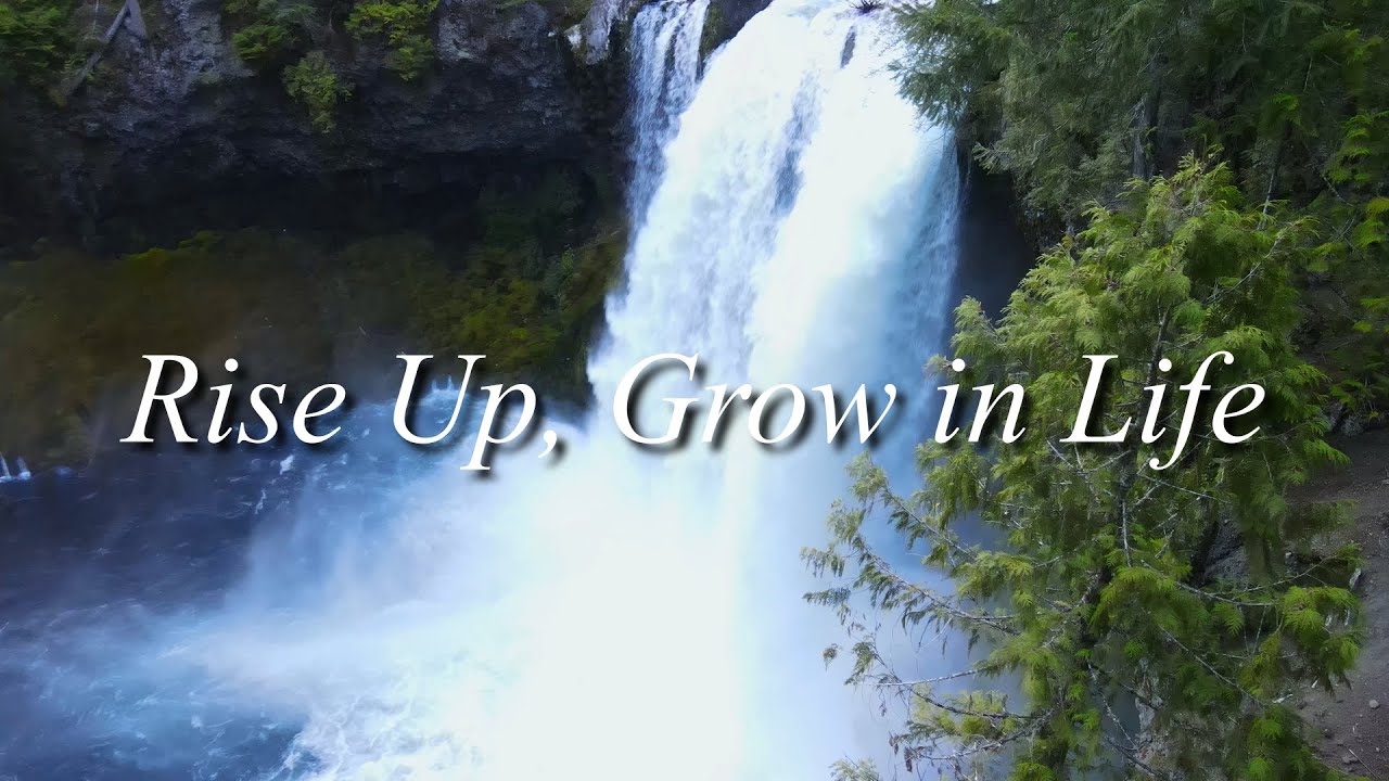 Rise Up, Grow In Life