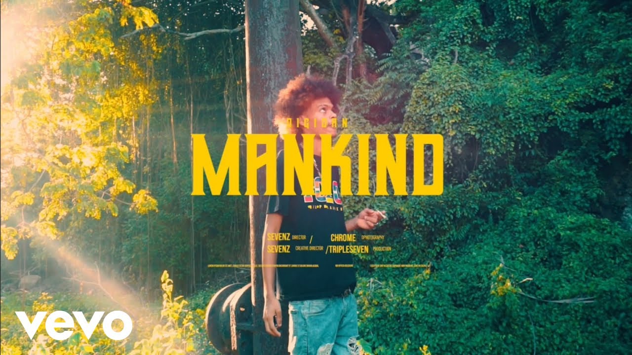 Watch Digidan, One Family A We Heart - Mankind (Official Music Video) on YouTube