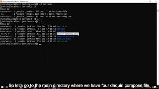 45  Make the ssh keys permanent on the Jenkins container