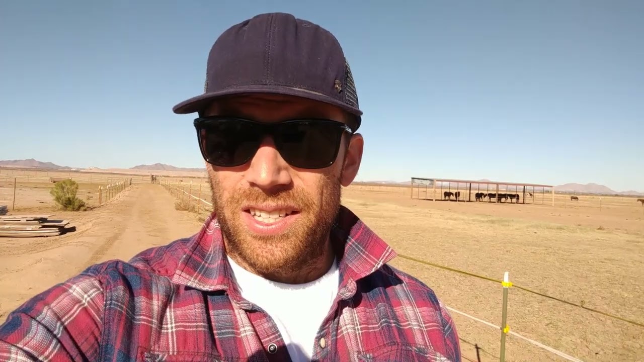 WP Curve acquired by GoDaddy announcement video