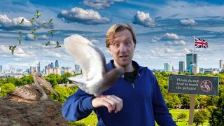 I Went On A Tour Of Londons Craziest Wild Park