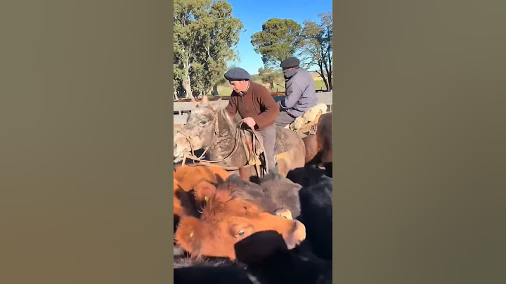 Trabajando con el ganau  🐴