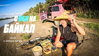 📌 САЗАН И КРУПНЫЙ КАРАСЬ НА МЕСТНОМ "БАЙКАЛЕ" | АЛТАЙСКИЙ КРАЙ