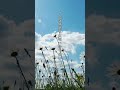 クラムボンもわたしも笑ったよ。 #言葉 #癒し #風景 #空