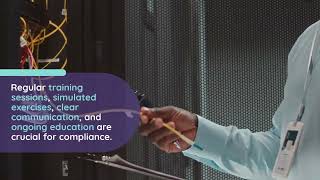 Navigating IT Compliance: A Business Owner's Essential Guide