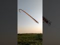 Pov menerbangkan layang-layang 🤣#pov #kite #layangan
